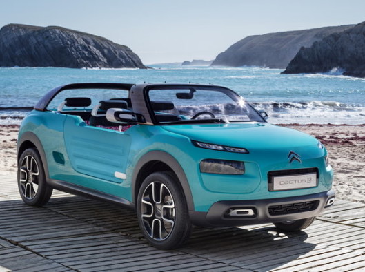 citroen-cactus-m-2015 noleggio lungo termine